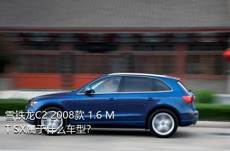 雪铁龙C2 2008款 1.6 MT SX属于什么车型？