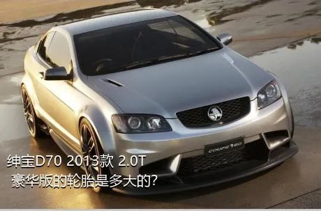 绅宝D70 2013款 2.0T 豪华版的轮胎是多大的？