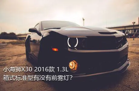 小海狮X30 2016款 1.3L箱式标准型有没有前雾灯？