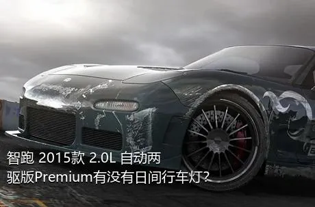智跑 2015款 2.0L 自动两驱版Premium有没有日间行车灯？