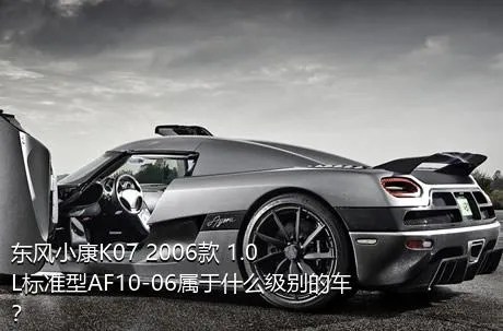 东风小康K07 2006款 1.0L标准型AF10-06属于什么级别的车？
