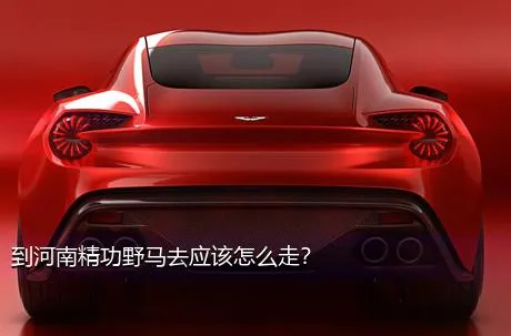 到河南精功野马去应该怎么走？