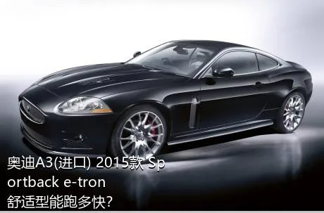 奥迪A3(进口) 2015款 Sportback e-tron 舒适型能跑多快？