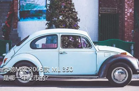 奔驰M级 2005款 ML 350是哪一年上市的？