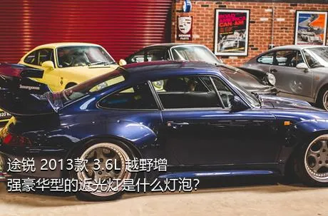 途锐 2013款 3.6L 越野增强豪华型的近光灯是什么灯泡？