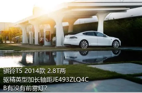 骐铃T5 2014款 2.8T两驱精英型加长轴距JE493ZLQ4CB有没有前雾灯？