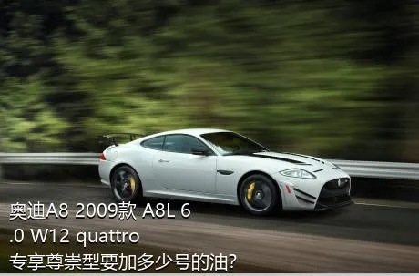 奥迪A8 2009款 A8L 6.0 W12 quattro 专享尊崇型要加多少号的油？