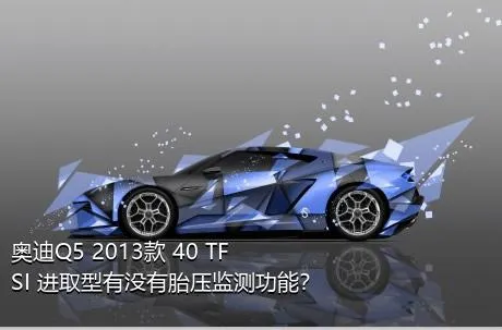 奥迪Q5 2013款 40 TFSI 进取型有没有胎压监测功能？