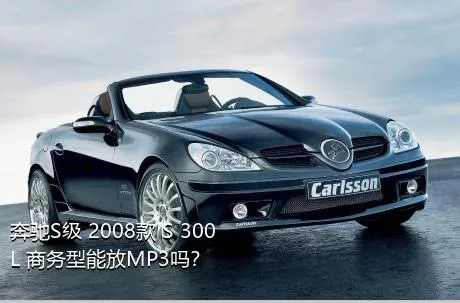 奔驰S级 2008款 S 300 L 商务型能放MP3吗？