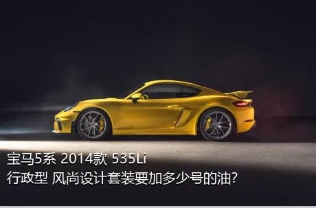 宝马5系 2014款 535Li 行政型 风尚设计套装要加多少号的油？