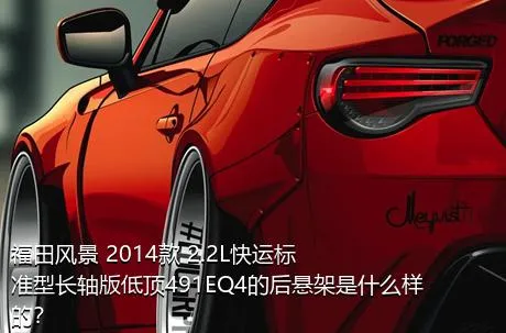 福田风景 2014款 2.2L快运标准型长轴版低顶491EQ4的后悬架是什么样的？