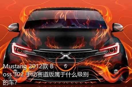 Mustang 2012款 Boss 302 手动赛道版属于什么级别的车？