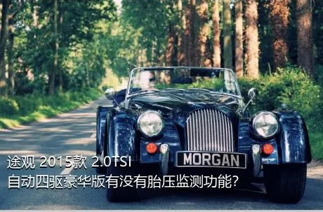 途观 2015款 2.0TSI 自动四驱豪华版有没有胎压监测功能？