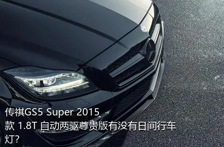 传祺GS5 Super 2015款 1.8T 自动两驱尊贵版有没有日间行车灯？