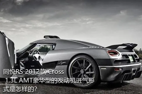 同悦RS 2012款 Cross 1.3L AMT豪华型的发动机进气形式是怎样的？