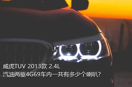 威虎TUV 2013款 2.4L汽油两驱4G69车内一共有多少个喇叭？