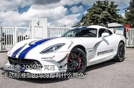 爱丽舍 2009款 两厢 1.6L 手动标准型的车身都有什么颜色？