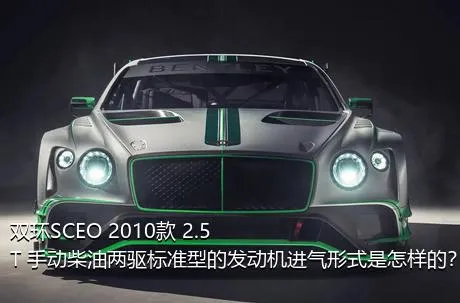 双环SCEO 2010款 2.5T 手动柴油两驱标准型的发动机进气形式是怎样的？