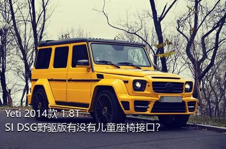 Yeti 2014款 1.8TSI DSG野驱版有没有儿童座椅接口？