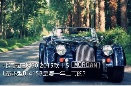 北汽威旺M30 2015款 1.5L基本型BJ415B是哪一年上市的？