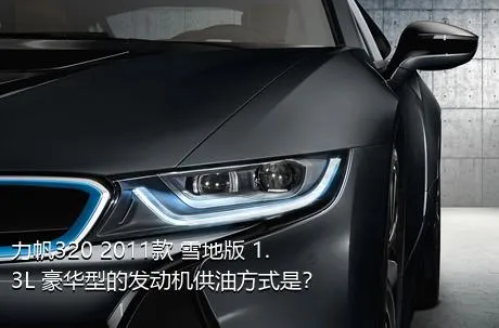 力帆320 2011款 雪地版 1.3L 豪华型的发动机供油方式是？