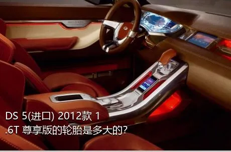 DS 5(进口) 2012款 1.6T 尊享版的轮胎是多大的？