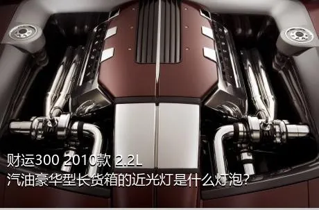 财运300 2010款 2.2L汽油豪华型长货箱的近光灯是什么灯泡？