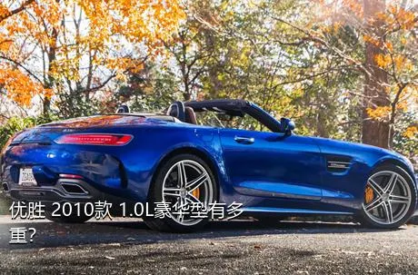 优胜 2010款 1.0L豪华型有多重？