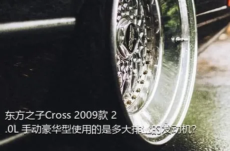 东方之子Cross 2009款 2.0L 手动豪华型使用的是多大排量的发动机？