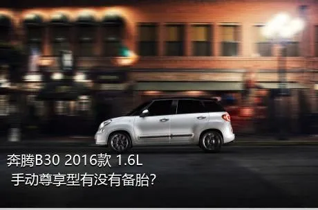 奔腾B30 2016款 1.6L 手动尊享型有没有备胎？