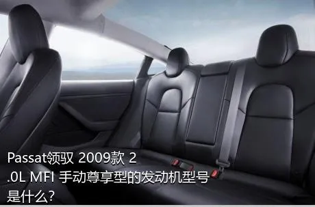 Passat领驭 2009款 2.0L MFI 手动尊享型的发动机型号是什么？