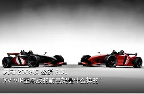 天籁 2008款 公爵 3.5L XV VIP至尊版的前悬架是什么样的？