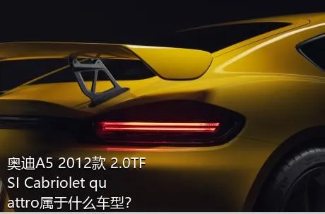 奥迪A5 2012款 2.0TFSI Cabriolet quattro属于什么车型？
