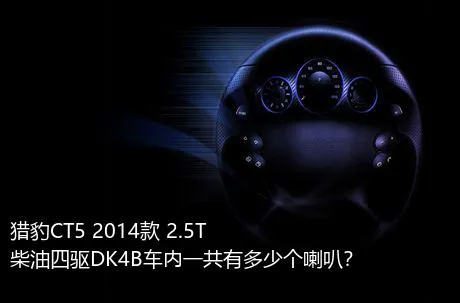 猎豹CT5 2014款 2.5T柴油四驱DK4B车内一共有多少个喇叭？