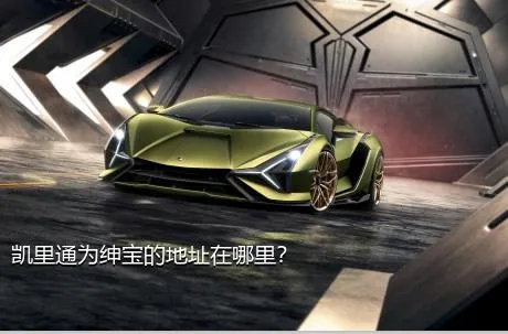 凯里通为绅宝的地址在哪里？