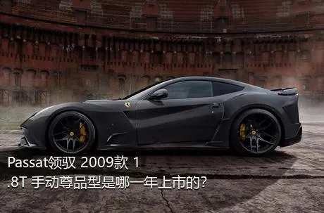 Passat领驭 2009款 1.8T 手动尊品型是哪一年上市的？