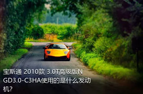 宝斯通 2010款 3.0T高级版NGD3.0-C3HA使用的是什么发动机？