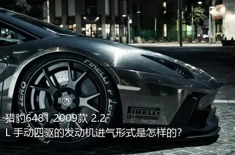 猎豹6481 2009款 2.2L 手动四驱的发动机进气形式是怎样的？