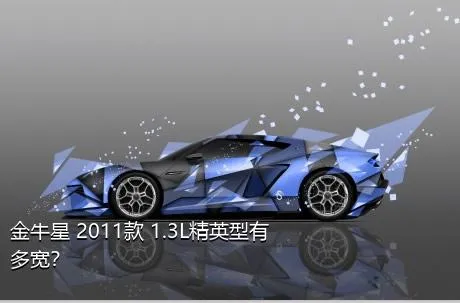 金牛星 2011款 1.3L精英型有多宽？