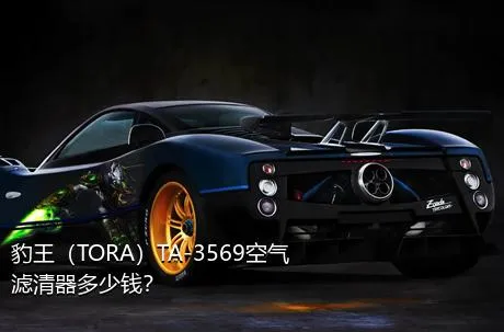 豹王（TORA）TA-3569空气滤清器多少钱？