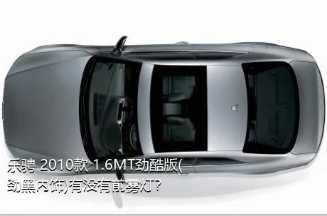 乐骋 2010款 1.6MT劲酷版(劲黑内饰)有没有前雾灯？