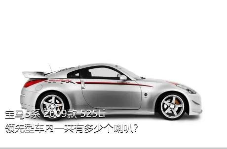 宝马5系 2009款 525Li 领先型车内一共有多少个喇叭？