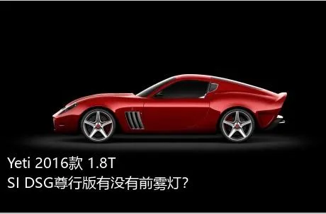 Yeti 2016款 1.8TSI DSG尊行版有没有前雾灯？
