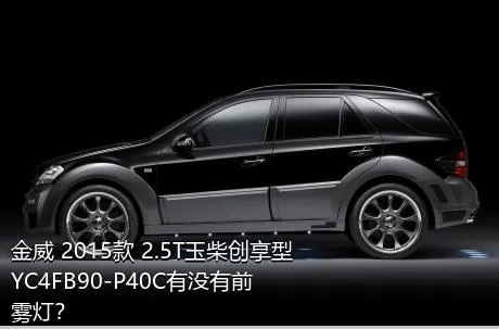 金威 2015款 2.5T玉柴创享型YC4FB90-P40C有没有前雾灯？
