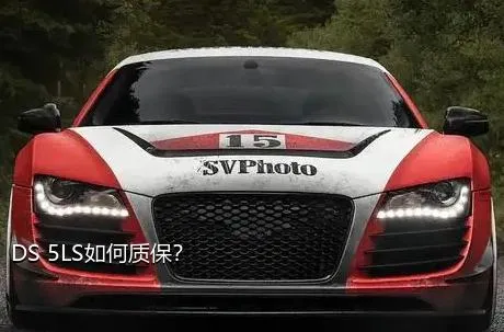 DS 5LS如何质保？