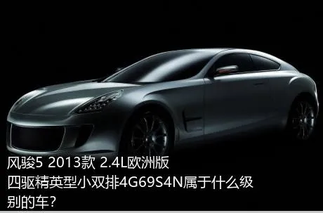 风骏5 2013款 2.4L欧洲版 四驱精英型小双排4G69S4N属于什么级别的车？