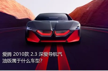 爱腾 2010款 2.3 深爱导航汽油版属于什么车型？