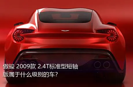 傲骏 2009款 2.4T标准型短轴版属于什么级别的车？