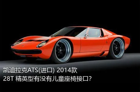 凯迪拉克ATS(进口) 2014款 28T 精英型有没有儿童座椅接口？