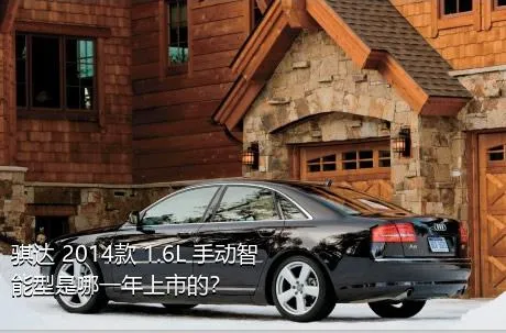 骐达 2014款 1.6L 手动智能型是哪一年上市的？